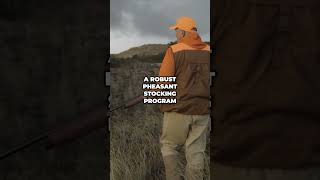 Discover Cape Cods Ultimate Hunting and Fishing Adventure shorts [upl. by Arakal]