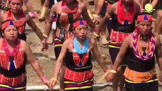 Aoleang Festival 2019  LARGEST TRADITIONAL KONYAK DANCE [upl. by Annig]