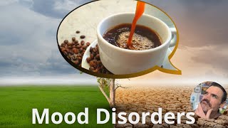 AP Psychology  Mood Disorders [upl. by Pfister]