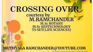 CROSSING OVER WITH CYTOLOGICAL EVIDENCE [upl. by Sama856]