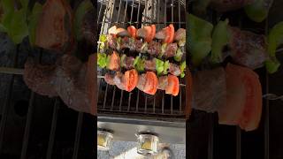 Beef shish kebabs  Grill ￼￼ [upl. by Damara]