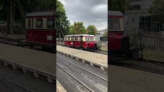 HSB  Ameisenbär macht auf der HSB eine Probefahrt  Schweineschnäuzchen in Wernigerode Westerntor [upl. by Stace]