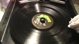 How To Clean Moldy Oldy Records [upl. by Longo]