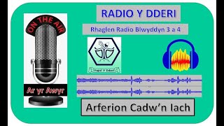 RADIO Y DDERI  Blwyddyn 3 a 4  ARFERION CADWN IACH [upl. by Nosrej]