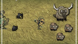 Dont Starve Together  How to create a new Beefalo herd [upl. by Kcyred]