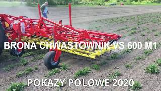 Pokazy polowe brona chwastownik VS 600 M1 w różnych uprawach [upl. by Norit]