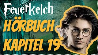 Harry Potter und der Feuerkelch Hörbuch Kapitel 19 Hörspiel Erwachsene Hörbuch Hörspiel [upl. by Pittman]