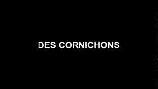 french project les cornichons lyrics video [upl. by Ssew]