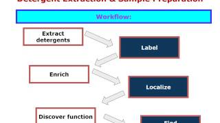 Detergent Extraction amp Sample Preparation Proteomics [upl. by Binetta]