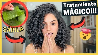 🤩Tratamiento de SÁBILA ALOE VERA🌵 MUY FÁCIL y EFECTIVO para un Cabello Rizado SALUDABLE y HERMOSO😍 [upl. by Avalsorim]