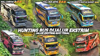 FULL TELOLET BASURI  HUNTING BUS DI JALUR EKSTRIM GUCI TEGAL  FULL BUS ARTIS [upl. by Anale]