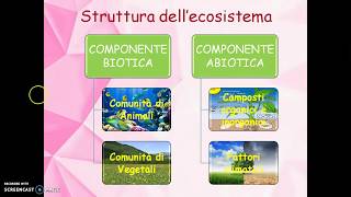 Ecologia Ambiente Ecosistema per la scuola primaria [upl. by Beberg]