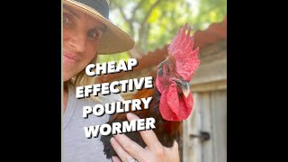 HOW TO WORM CHICKENSTREATING INTERNALampEXTERNAL PARASITES in POULTRY [upl. by Wier257]