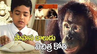 Sahasa Baludu Vichitra Kothi Full Movie Scene Vijayashanti Sarath Babu  Vidhya Sagar  I Dream [upl. by Ennaegroeg]