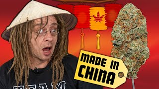 CANNABIS  Made in CHINA [upl. by Ylhsa]