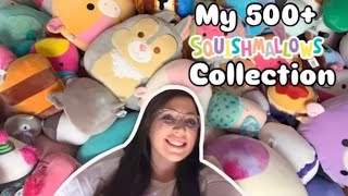 I finally counted my ENTIRE Squishmallows collection Over 500  Squishmallows [upl. by Athalia263]