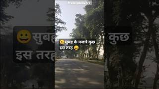 Good morning lucknow shorts youtubeshorts [upl. by Adalheid]