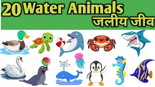 20 Water Animals Names 20 जलीय जीवो के नाम Water Animals Names Hindi and English With Pictures [upl. by Amity204]