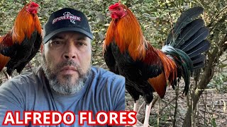 In Texas Alfredo Flores Iron Creek Farm [upl. by Ahsat]