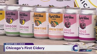 Right Bee Cider Chicagos First Cidery [upl. by Sisson925]