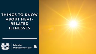 Things to Know About HeatRelated Illnesses [upl. by Nord]