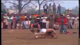 kabaddi sunet pind vs kaonke kalan [upl. by Adav]