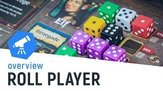 ROLL PLAYER  Overview [upl. by Unders]