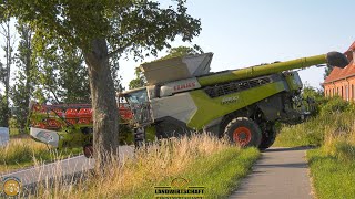 Knappe Angelegenheit an der Straße Mähdrescher schneidet neues Feld an Gut Hohen Luckow Raps Ernte [upl. by Milore]