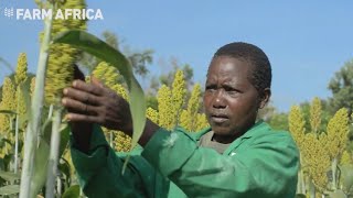 Building sustainable futures in Kenya through regenerative agriculture [upl. by Normandy871]