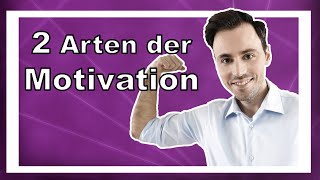 Intrinsische Motivation besser als extrinsische Die Antwort [upl. by Gerkman138]