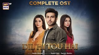 Dil Hi Tou Hai OST 🎶  Hassan Hayat Khan  Yashal Shahid  ARY Digital [upl. by Guyer]