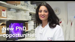 New PhD opportunities at The Institute of Cancer Research [upl. by Yeslehc]