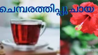 Hibiscus Tea drink tea hibiscus healthydrink [upl. by Loomis]