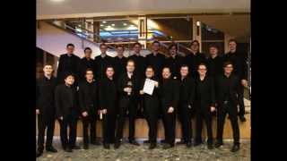 Ensemble Vocapella Limburg  Franz Schubert Wein und Liebe live [upl. by Aklim726]