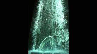 BIll Viola Tristans Ascension [upl. by Edythe319]