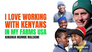 I MET SEVERAL KENYANS WORKING IN THE FARMS HERE IN AMERICA KUKAMUA NGOMBE MAKING OVER 20 AN HOUR [upl. by Rumney487]