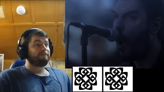 Breaking Benjamin  Red Cold River Reaction [upl. by Gregoire156]