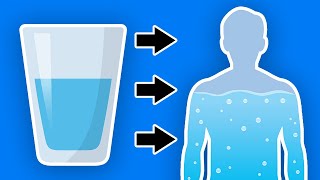 This Happens To Your Body When You Start Drinking More Water Every Day [upl. by Lowe]