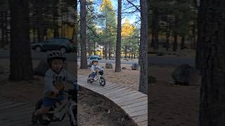 Cruising the wood features at the bike park mtb toddlers shorts [upl. by Gaulin]