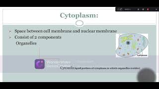 Cytoplasm Structure Composition and Function Lecture2 Part3 Biological World🐛🍀 [upl. by Fern461]