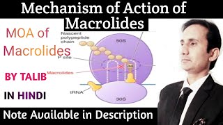 Mechanism of Action of Macrolides Antibiotics In Hindi [upl. by Vladimir]