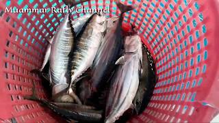 Traditional Fishing in Malacca Strait part 2 [upl. by Eenal]