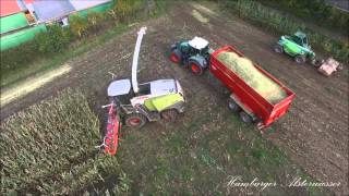 Claas Jaguar 970 Feldhäcksler am Maishäckseln 2015 [upl. by Lydell]