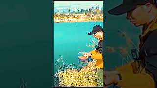 The traditional crucian carp fishing 7 [upl. by Lirrehs]