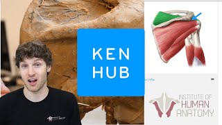 The BEST Way to Study Human Anatomy  An In Depth Look at the Kenhub Anatomy Platform [upl. by Balfour646]