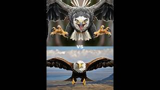 Harpy eagle vs Eagle Bird vs  falcon crow owl seagull Duck toucan bird Macow pigeon [upl. by Reichel]