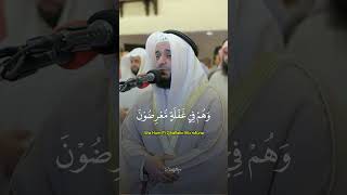 Beautiful Quran Recitation [upl. by Gautious211]