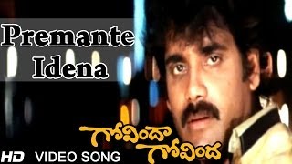 Govinda Govinda Movie  Premante Idena Video Song  Nagarjuna Sridevi [upl. by Neraj]