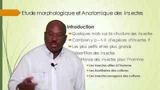 Armand Paraïso Entomologie Générale L1 S2 Introduction du cours  Dr PARAÏSO [upl. by Niehaus983]