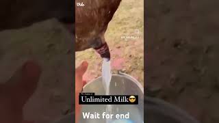 Cow milk shorts vairalvideo [upl. by Agee]